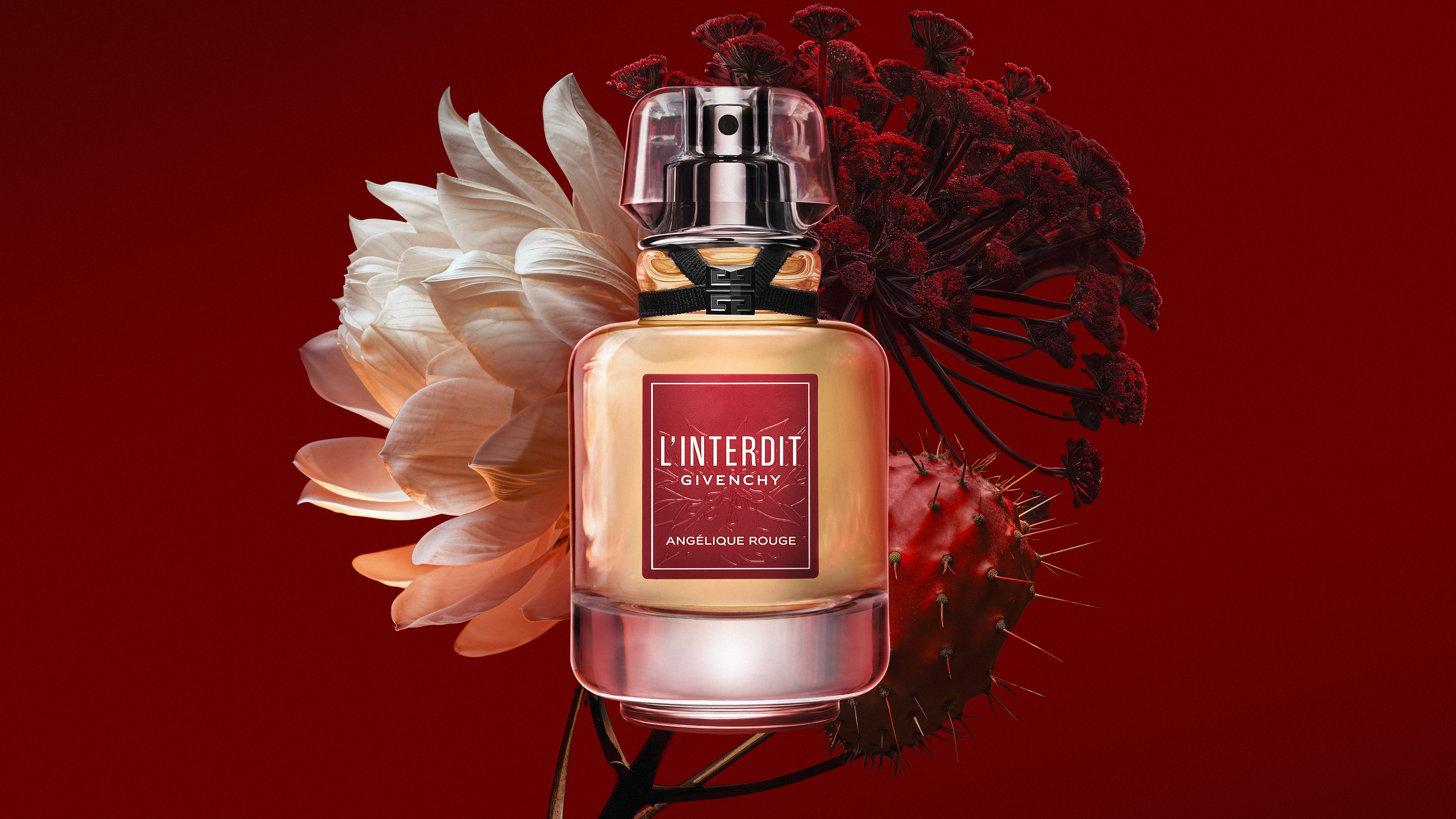 img Angélique Rouge
