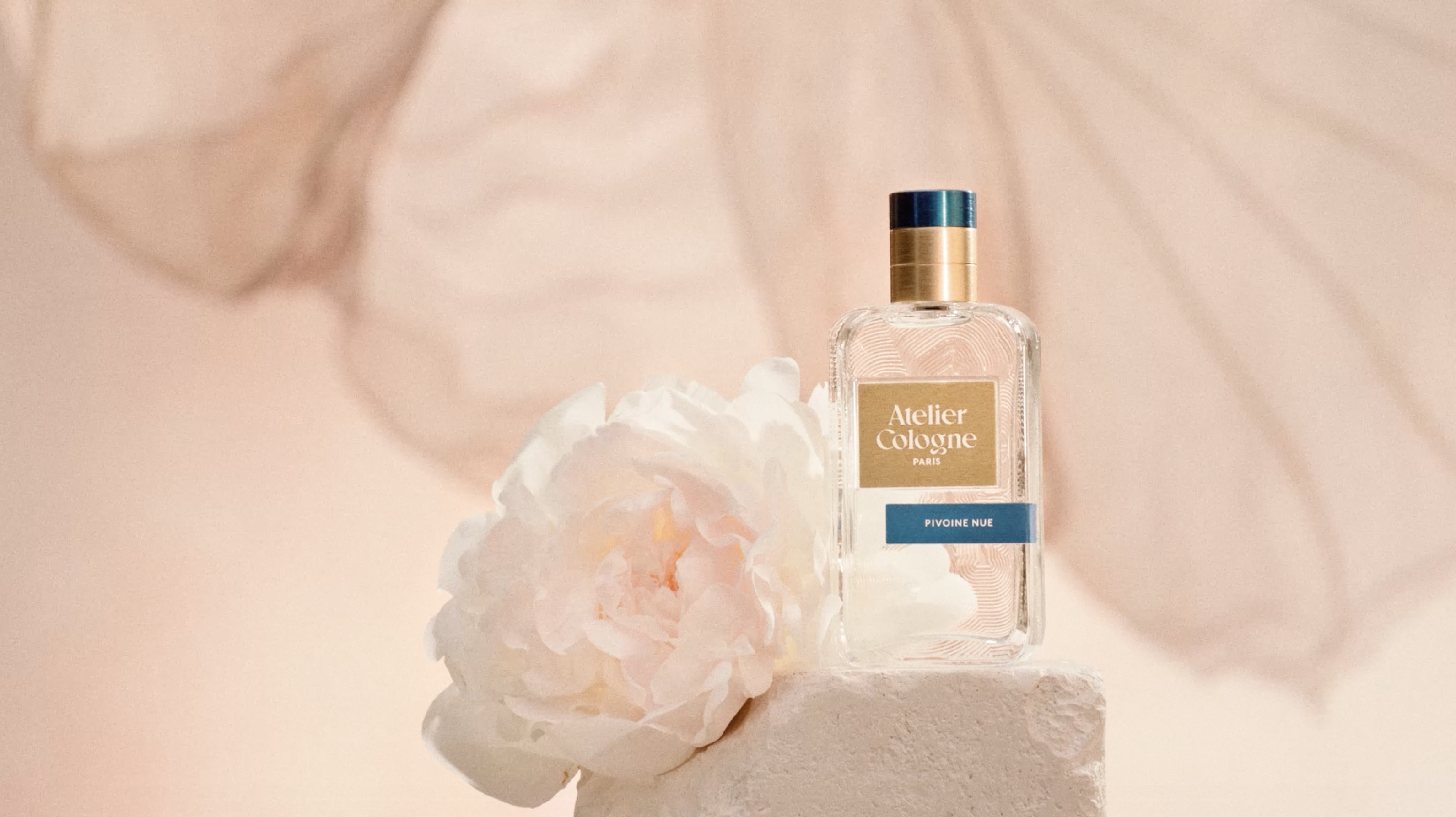 img Pivoine Nue